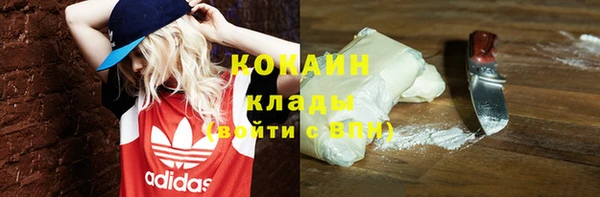шишки Володарск