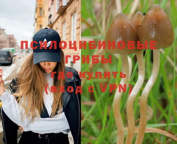 jwh Волоколамск