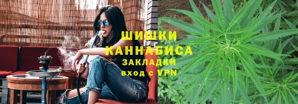 шишки Володарск