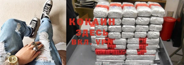 шишки Володарск