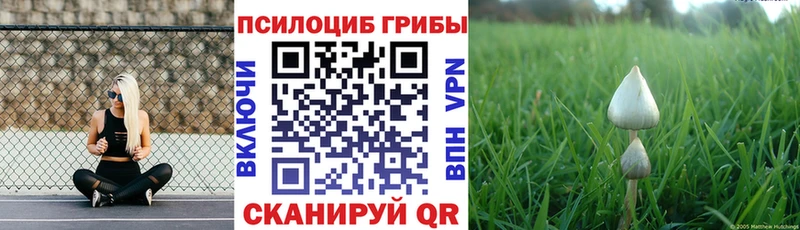 darknet официальный сайт где можно купить Саратов Галлюциногенные грибы мухоморы KRAKEN ссылки